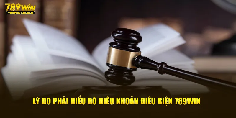 Điều Khoản Điều Kiện 789WIN - Tài Liệu Cần Nắm Khi Cá Cược 2 Lý do phải hiểu rõ điều khoản điều kiện 789WIN