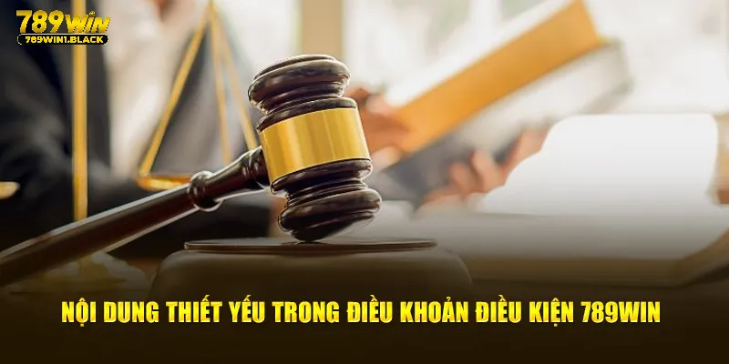 Điều Khoản Điều Kiện 789WIN - Tài Liệu Cần Nắm Khi Cá Cược 3 Nội dung thiết yếu trong điều khoản điều kiện 789WIN